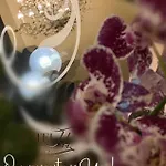 Отель Hi Boutique 3*